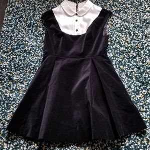 Kate Spade Collared Velvet Dress Black and White
